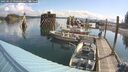 ./images/quadra/hbidock/20250619/hbidock20250619_090000M.jpg