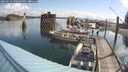 ./images/quadra/hbidock/20250619/hbidock20250619_090500M.jpg