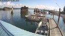 ./images/quadra/hbidock/20250619/hbidock20250619_091000M.jpg