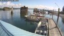 ./images/quadra/hbidock/20250619/hbidock20250619_091010M.jpg