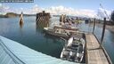 ./images/quadra/hbidock/20250619/hbidock20250619_101000M.jpg