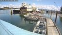 ./images/quadra/hbidock/20250619/hbidock20250619_105011M.jpg