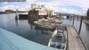 ./images/quadra/hbidock/20250619/hbidock20250619_112510M.jpg
