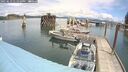 ./images/quadra/hbidock/20250619/hbidock20250619_131010M.jpg