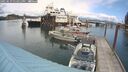 ./images/quadra/hbidock/20250619/hbidock20250619_134011M.jpg