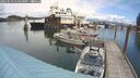 ./images/quadra/hbidock/20250619/hbidock20250619_134510M.jpg
