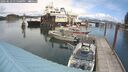 ./images/quadra/hbidock/20250619/hbidock20250619_135008M.jpg