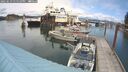 ./images/quadra/hbidock/20250619/hbidock20250619_135510M.jpg