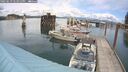 ./images/quadra/hbidock/20250619/hbidock20250619_143012M.jpg