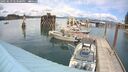 ./images/quadra/hbidock/20250619/hbidock20250619_143501M.jpg