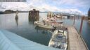 ./images/quadra/hbidock/20250619/hbidock20250619_144001M.jpg