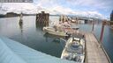 ./images/quadra/hbidock/20250619/hbidock20250619_144011M.jpg