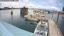 ./images/quadra/hbidock/20250619/hbidock20250619_144501M.jpg