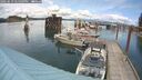 ./images/quadra/hbidock/20250619/hbidock20250619_145509M.jpg