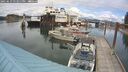 ./images/quadra/hbidock/20250619/hbidock20250619_153011M.jpg