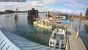 ./images/quadra/hbidock/20250619/hbidock20250619_180500M.jpg
