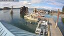 ./images/quadra/hbidock/20250619/hbidock20250619_180510M.jpg