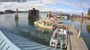 ./images/quadra/hbidock/20250619/hbidock20250619_181011M.jpg
