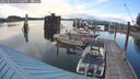 ./images/quadra/hbidock/20250619/hbidock20250619_194008M.jpg