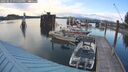 ./images/quadra/hbidock/20250619/hbidock20250619_195009M.jpg