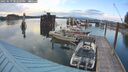 ./images/quadra/hbidock/20250619/hbidock20250619_202509M.jpg