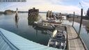 ./images/quadra/hbidock/20250620/hbidock20250620_094010M.jpg