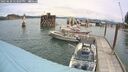./images/quadra/hbidock/20250620/hbidock20250620_123507M.jpg