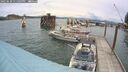 ./images/quadra/hbidock/20250620/hbidock20250620_131009M.jpg