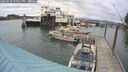 ./images/quadra/hbidock/20250620/hbidock20250620_170012M.jpg