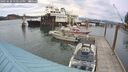 ./images/quadra/hbidock/20250620/hbidock20250620_170510M.jpg