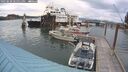 ./images/quadra/hbidock/20250620/hbidock20250620_185011M.jpg