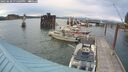 ./images/quadra/hbidock/20250620/hbidock20250620_195009M.jpg