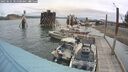 ./images/quadra/hbidock/20250621/hbidock20250621_101500M.jpg