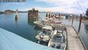 ./images/quadra/hbidock/20250621/hbidock20250621_124500M.jpg