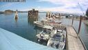 ./images/quadra/hbidock/20250621/hbidock20250621_130510M.jpg