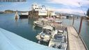 ./images/quadra/hbidock/20250621/hbidock20250621_134011M.jpg