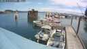 ./images/quadra/hbidock/20250621/hbidock20250621_135510M.jpg