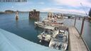 ./images/quadra/hbidock/20250621/hbidock20250621_140000M.jpg