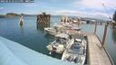 ./images/quadra/hbidock/20250621/hbidock20250621_141511M.jpg