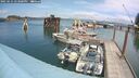 ./images/quadra/hbidock/20250621/hbidock20250621_143000M.jpg