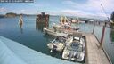 ./images/quadra/hbidock/20250621/hbidock20250621_143500M.jpg