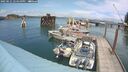 ./images/quadra/hbidock/20250621/hbidock20250621_144510M.jpg
