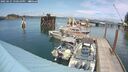 ./images/quadra/hbidock/20250621/hbidock20250621_150010M.jpg