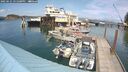./images/quadra/hbidock/20250621/hbidock20250621_151500M.jpg