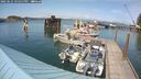 ./images/quadra/hbidock/20250621/hbidock20250621_155011M.jpg