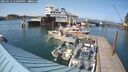 ./images/quadra/hbidock/20250621/hbidock20250621_170000M.jpg
