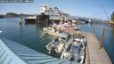 ./images/quadra/hbidock/20250621/hbidock20250621_170011M.jpg