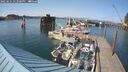 ./images/quadra/hbidock/20250621/hbidock20250621_172500M.jpg