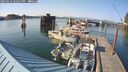 ./images/quadra/hbidock/20250621/hbidock20250621_182011M.jpg