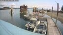 ./images/quadra/hbidock/20250622/hbidock20250622_113011M.jpg
